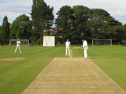 Umpire's view of the pitch