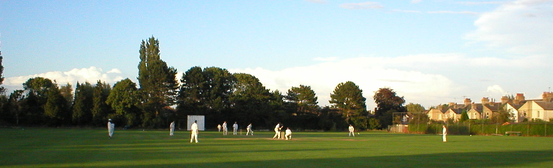 The field bathed in sunshine.