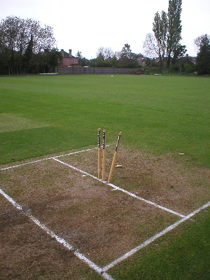 The wicket.