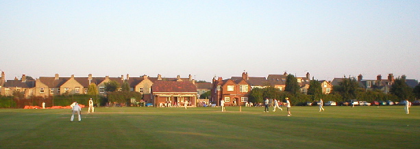 The field in sunlight.